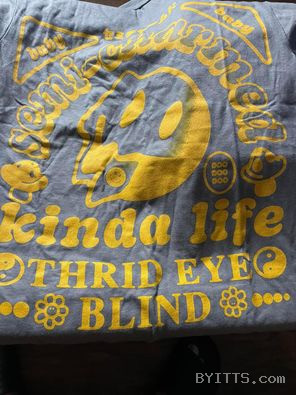 Third Eye Blind T-Shirt Size Small